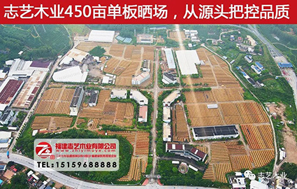志艺木业建筑模板