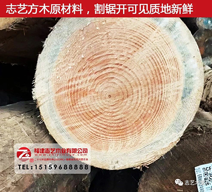 志艺木业