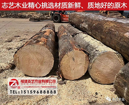 志艺木业