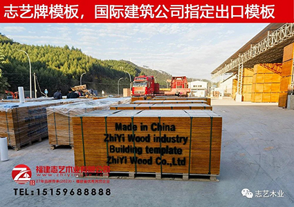 福建志艺木业