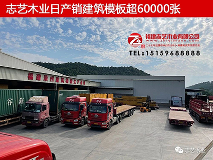 福建胶合板厂家志艺木业