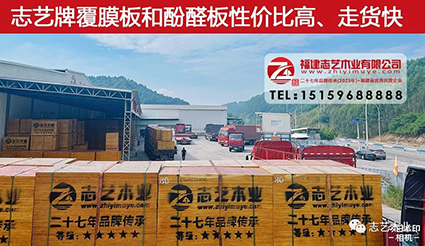 福建胶合板厂家志艺木业